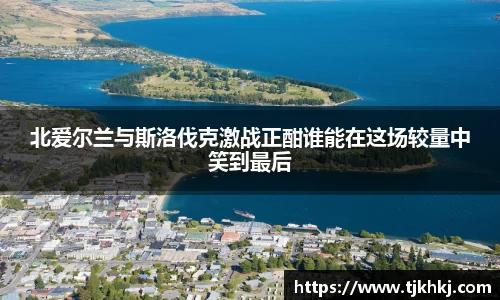 北爱尔兰与斯洛伐克激战正酣谁能在这场较量中笑到最后